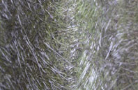 Dardy fibreglass roof work